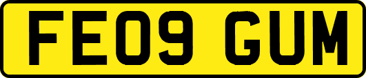 FE09GUM