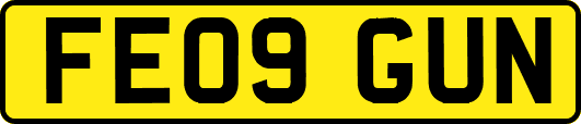 FE09GUN