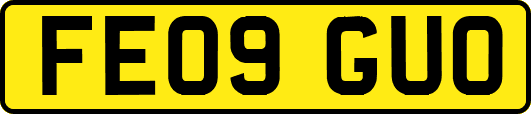 FE09GUO