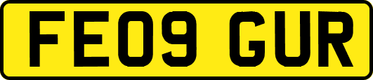 FE09GUR