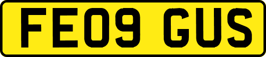 FE09GUS
