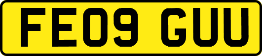 FE09GUU