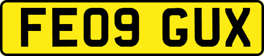 FE09GUX