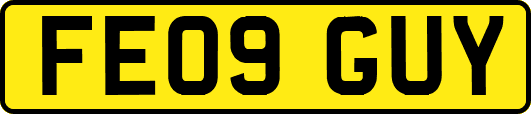 FE09GUY