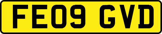 FE09GVD