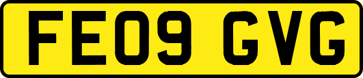 FE09GVG