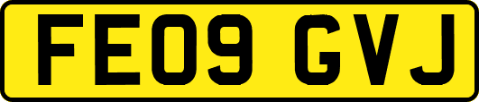 FE09GVJ