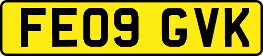 FE09GVK