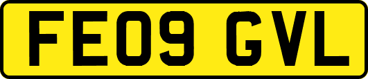 FE09GVL