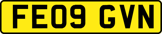 FE09GVN
