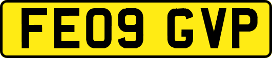 FE09GVP
