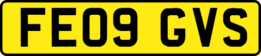 FE09GVS