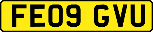 FE09GVU