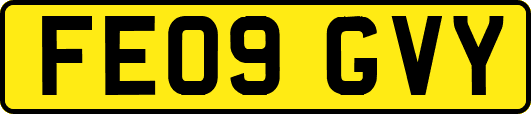FE09GVY