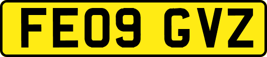 FE09GVZ