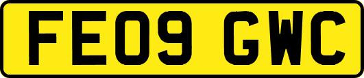 FE09GWC
