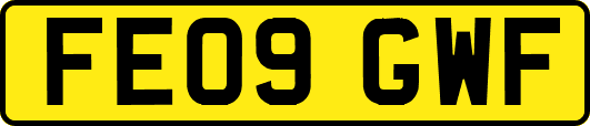 FE09GWF
