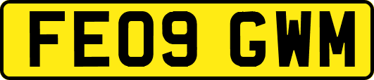 FE09GWM