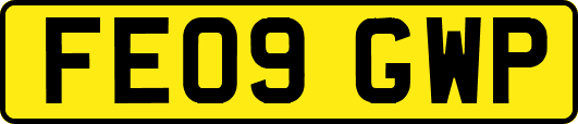 FE09GWP