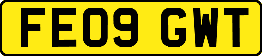FE09GWT