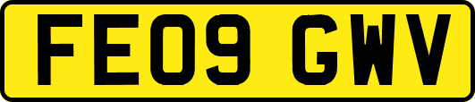 FE09GWV