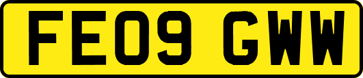 FE09GWW