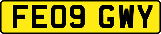 FE09GWY