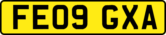 FE09GXA