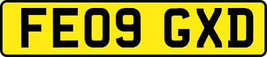 FE09GXD