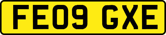 FE09GXE