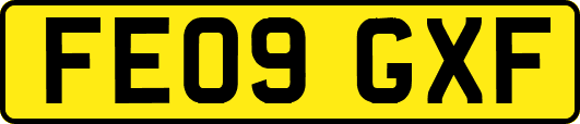 FE09GXF
