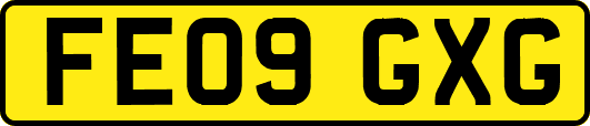 FE09GXG
