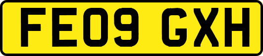 FE09GXH