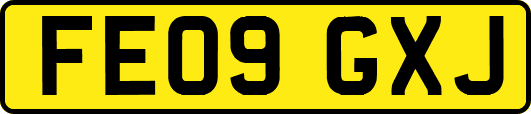 FE09GXJ