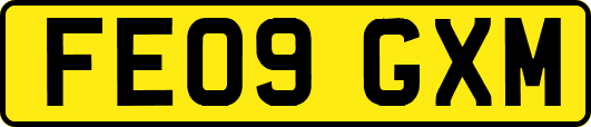 FE09GXM