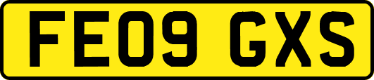 FE09GXS