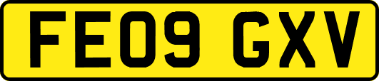 FE09GXV