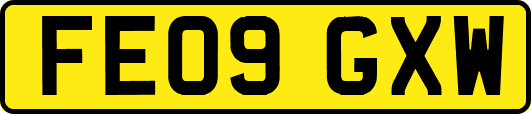 FE09GXW