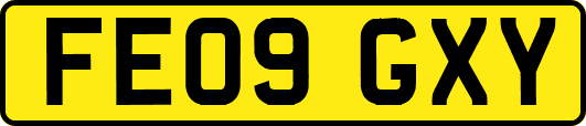 FE09GXY