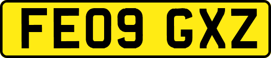 FE09GXZ