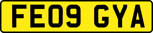 FE09GYA