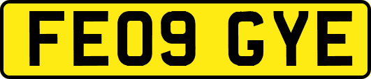 FE09GYE