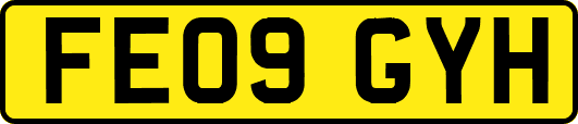 FE09GYH