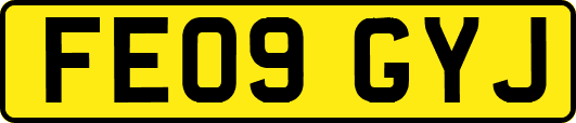 FE09GYJ