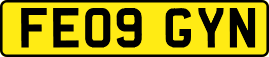 FE09GYN