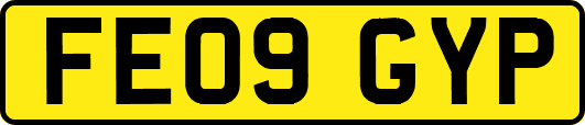 FE09GYP