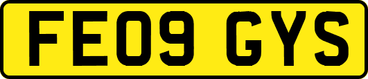 FE09GYS