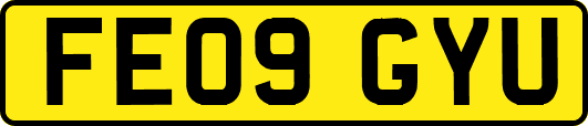 FE09GYU
