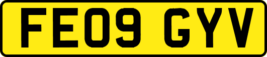 FE09GYV