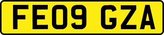 FE09GZA